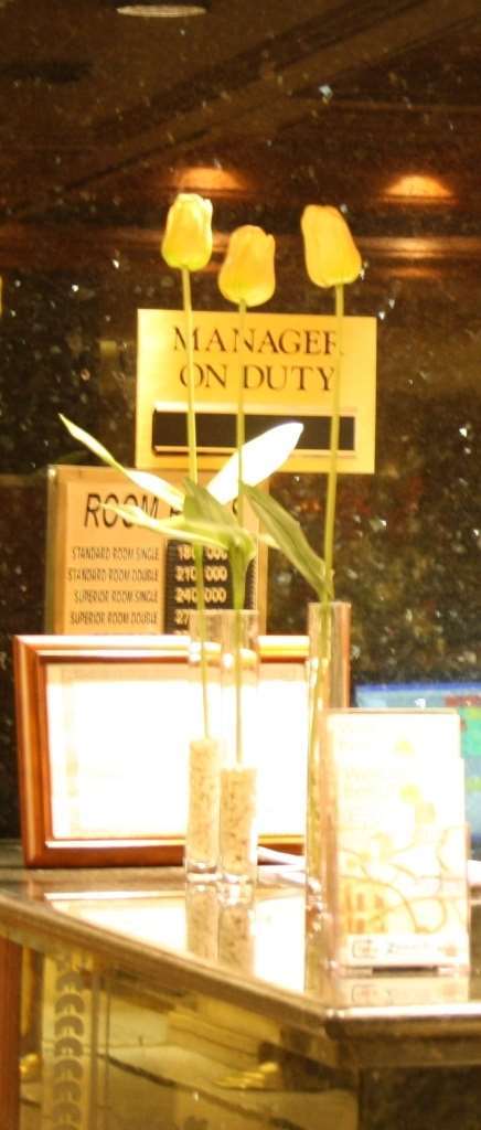 Hotel Grand 4*
